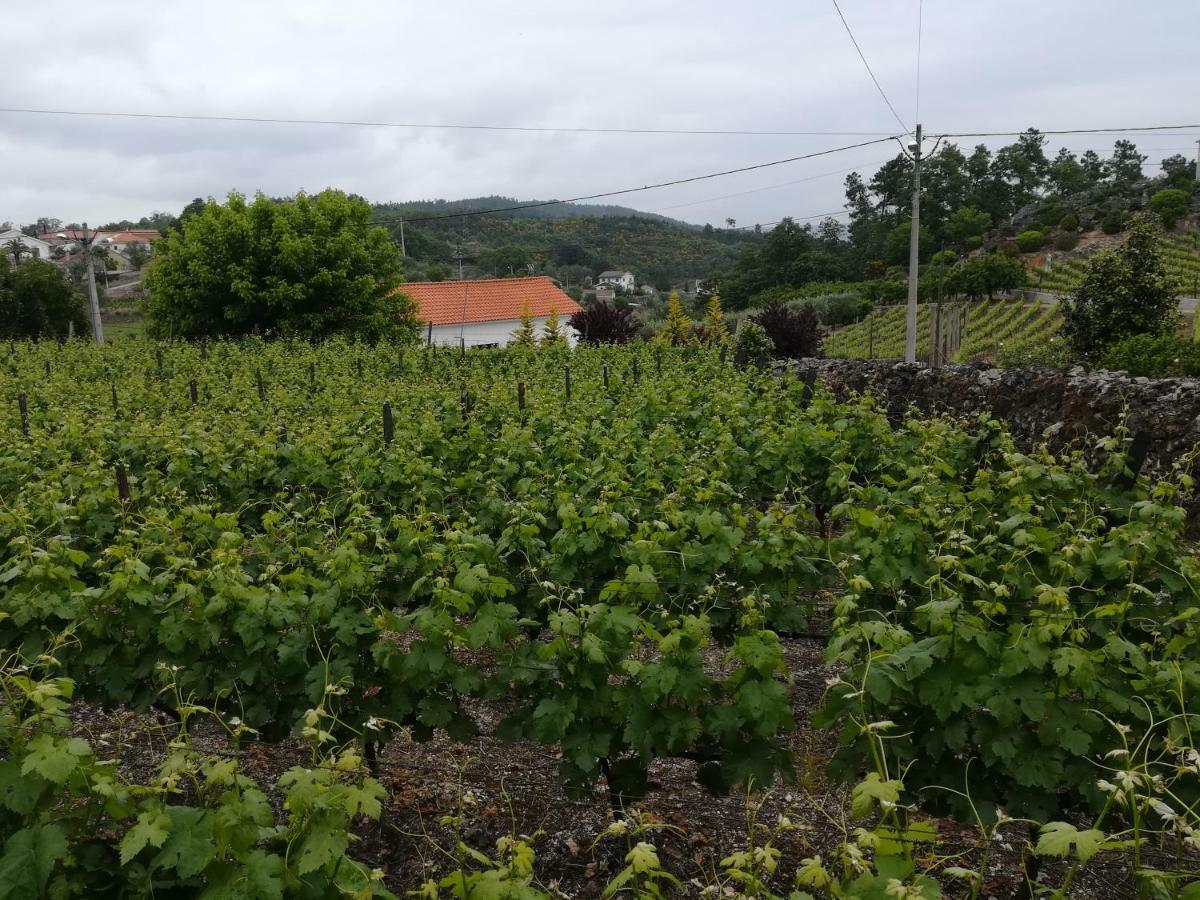 Casa Serra da Lapa Viseu Exterior foto